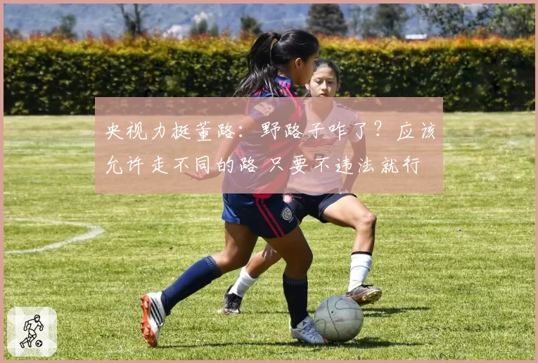 央视力挺董路:野路子咋了?应该允许走不同的路 只要不违法就行