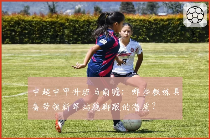 中超中甲升班马前瞻：哪些教练具备带领新军站稳脚跟的潜质？