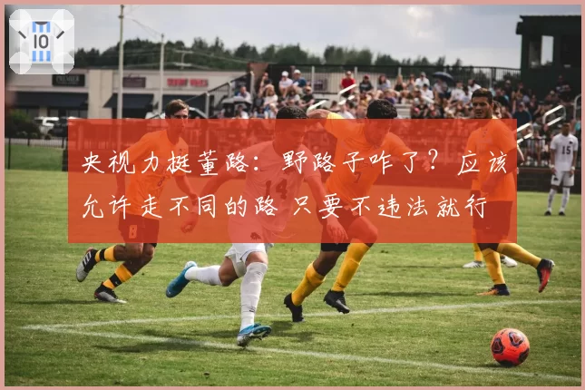 央视力挺董路:野路子咋了?应该允许走不同的路 只要不违法就行