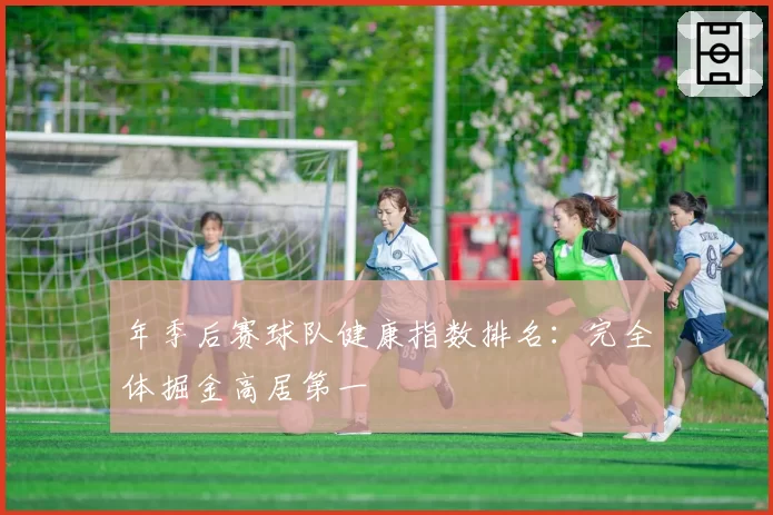 年季后赛球队健康指数排名：完全体掘金高居第一