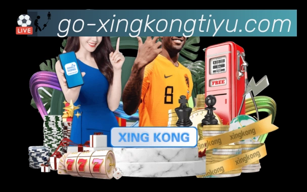 看点解析